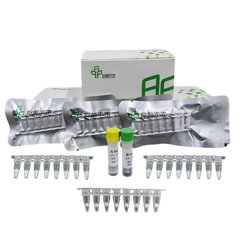 48 pruebas / caja Kit de amplificación de ADN isotérmica con reactivos, enzimas tampones